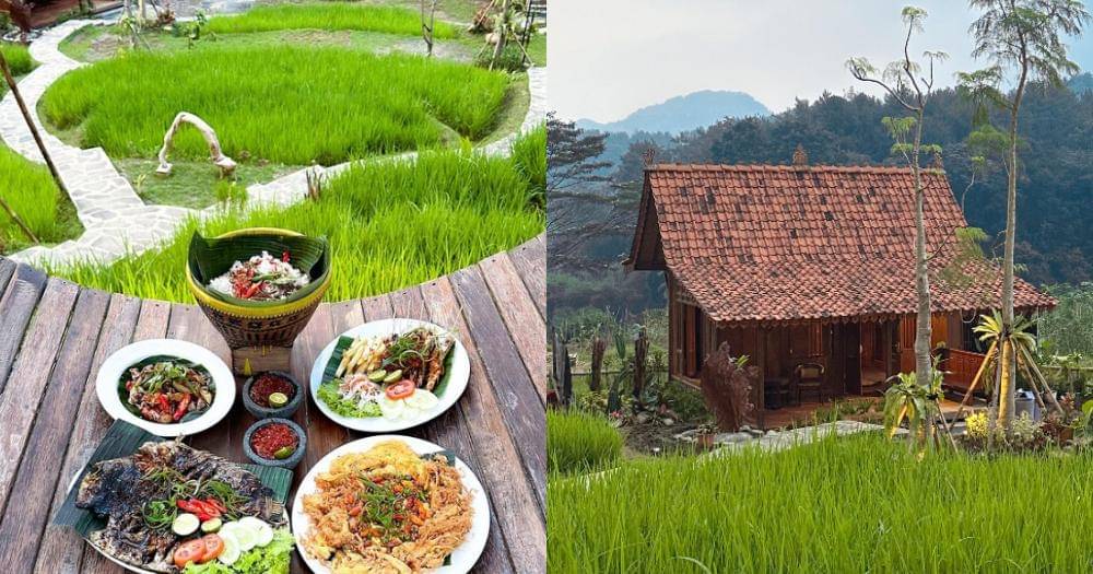 Instagram.com/sawahsegarsentul